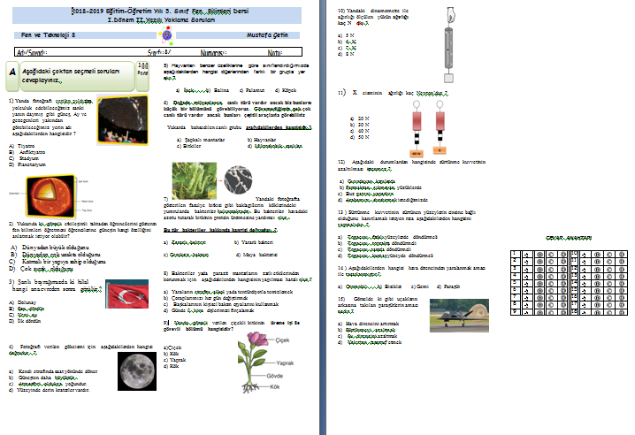 5.Sınıf 1.Dönem 2.Yazılı Soruları (2018-2019)