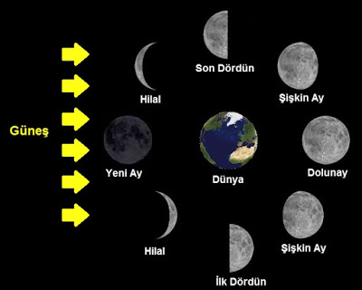 ayın evreleri fennotlari.net