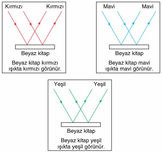 Işığın Soğrulması