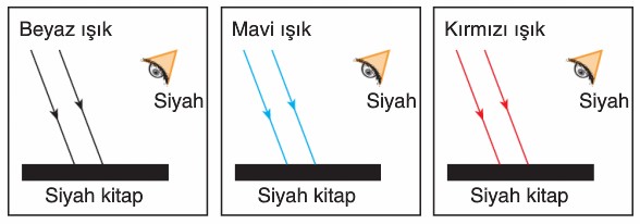 Işığın Soğrulması