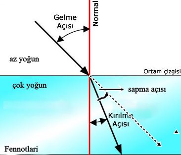  fen ,   fen bilimleri ,  deney  , komik  Kaldıraç, eğik düzlem , makaralar,  Basit makineler, fen notları,  fen notlari, Bilim.   kimya , fizik ,  biyoloji, çözelti, karışım,  metal, ametal , ivme, sabit hılı hareket, kütlenin korunumu, enerjini korunumu, kimyasal tepkime, eğik düzlem, kaldıraç, kama, soru ,cevap , cevap anahtarı, deney, komik, ilginç